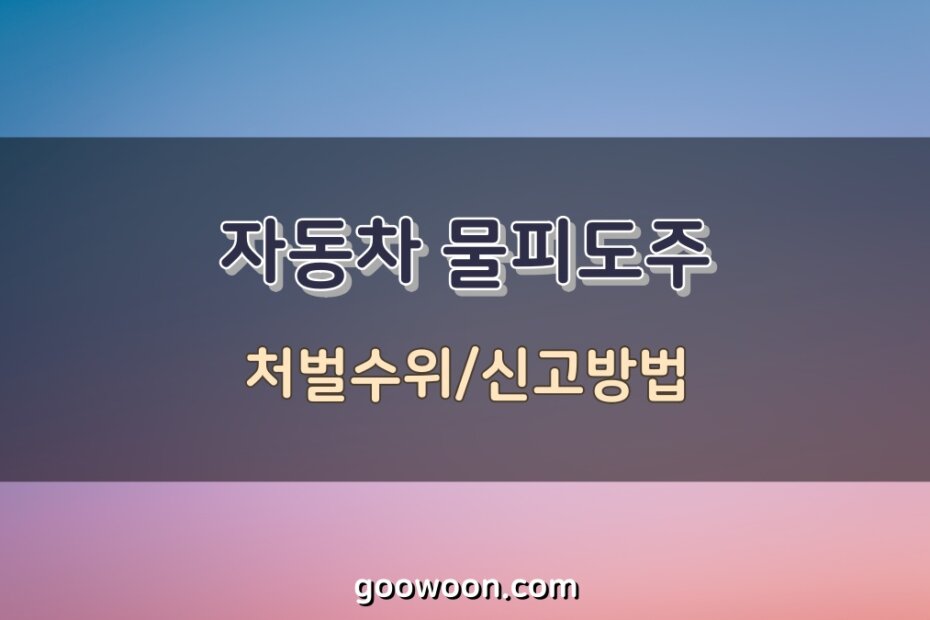 자동차-물피도주-처벌수위-특성-이미지