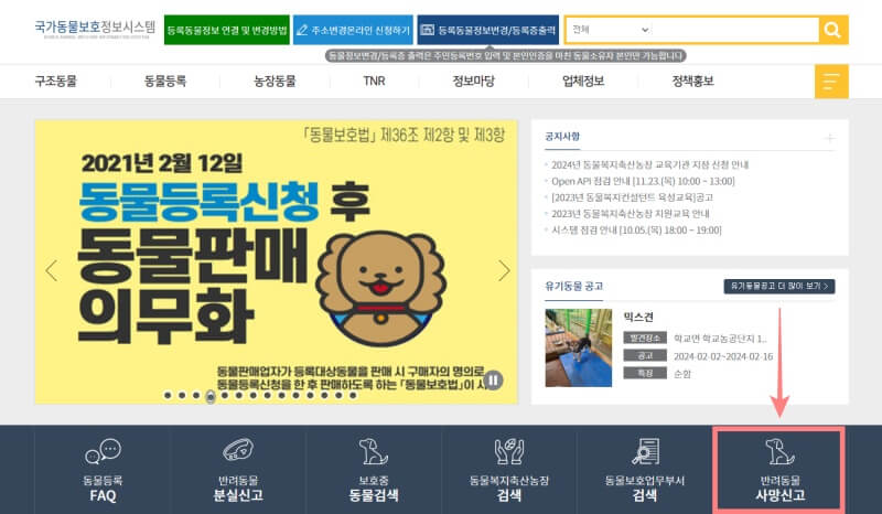 반려동물-사망신고-방법-국가동물보호관리시스템