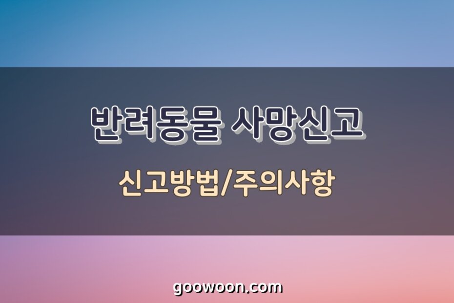 반려동물-사망신고-방법-특성-이미지