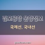 김포공항-운항정보-특성