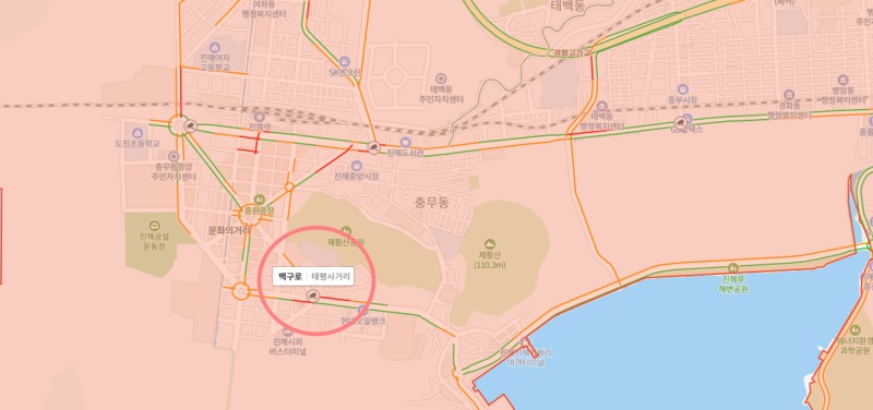 2024-벚꽃-개화시기-네이버-지도-CCTV
