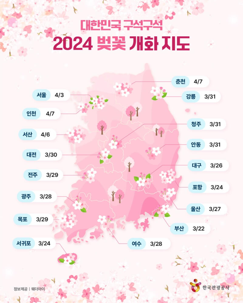 2024-벚꽃-개화시기-지도