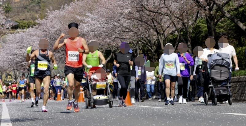 합천-벚꽃-마라톤-대회-모습