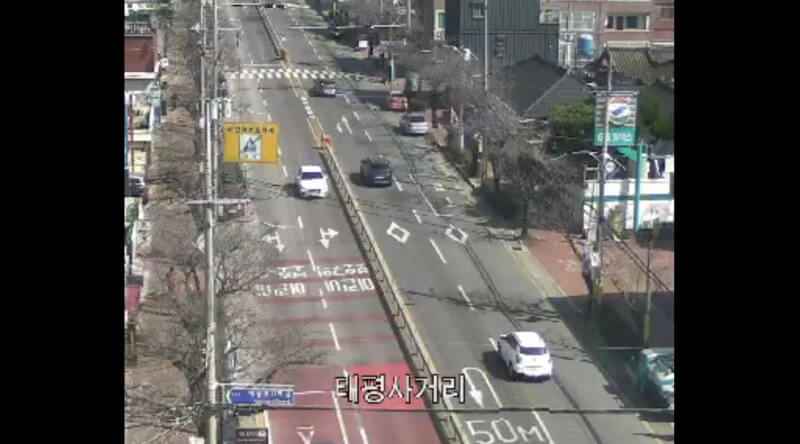 2024-벚꽃-개화시기-네이버-CCTV-전체화면