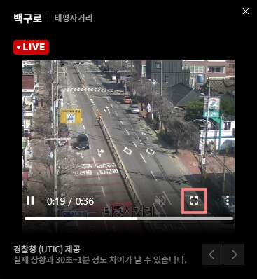 2024-벚꽃-개화시기-네이버-CCTV-작은화면