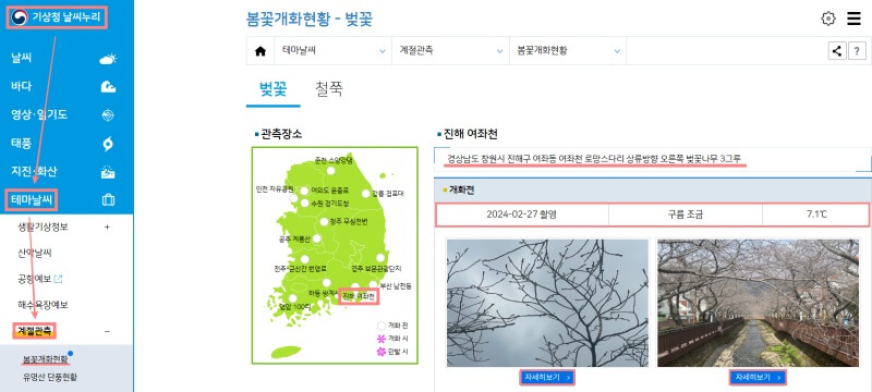 2024-벚꽃-개화시기-지도-기상청