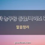 스타-농구공-종류-특성-이미지