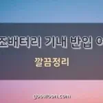 보조배터리-기내-반입-특성