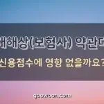 현대해상-약관대출-신용점수-특성